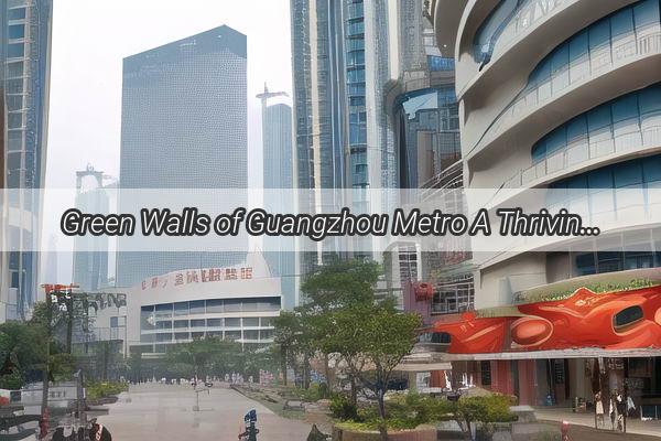 Green Walls of Guangzhou Metro A Thriving Urban Oasis in the Heart of the City